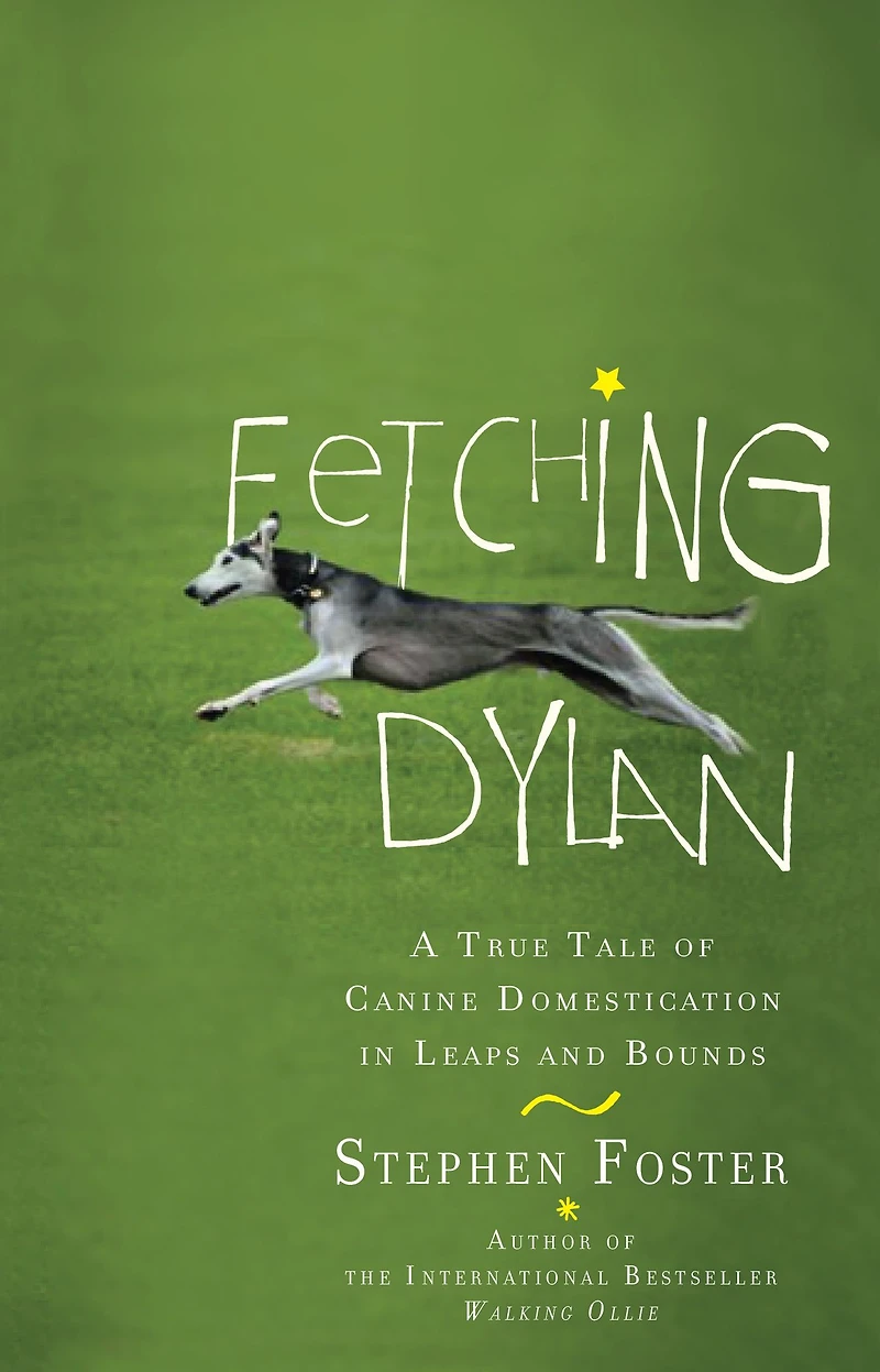 Fetching Dylan: A True Tale of Canine Domestication Leaps and Bounds