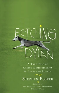 Fetching Dylan: A True Tale of Canine Domestication Leaps and Bounds
