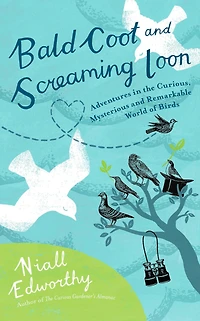 Bald Coot and Screaming Loon: Adventures in the Curious, Mysterious and Remarkable World of Birds