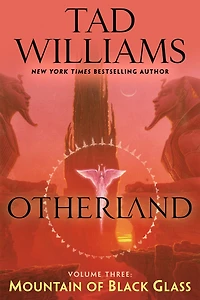 Mountain of Black Glass (Otherland Series #3)