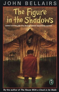 the Figure Shadows