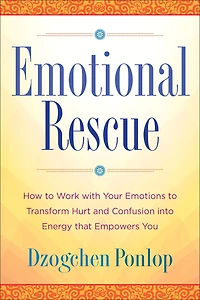 Emotional Rescue: How to Work with Your Emotions Transform Hurt and Confusion into Energy That Empowers You