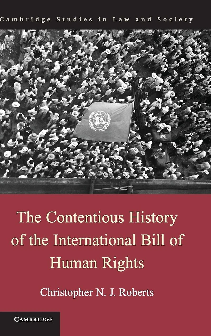 the Contentious History of International Bill Human Rights