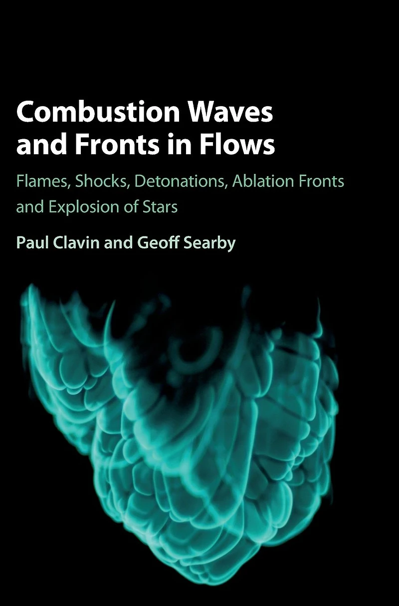Combustion Waves and Fronts Flows: Flames, Shocks, Detonations, Ablation Explosion of Stars