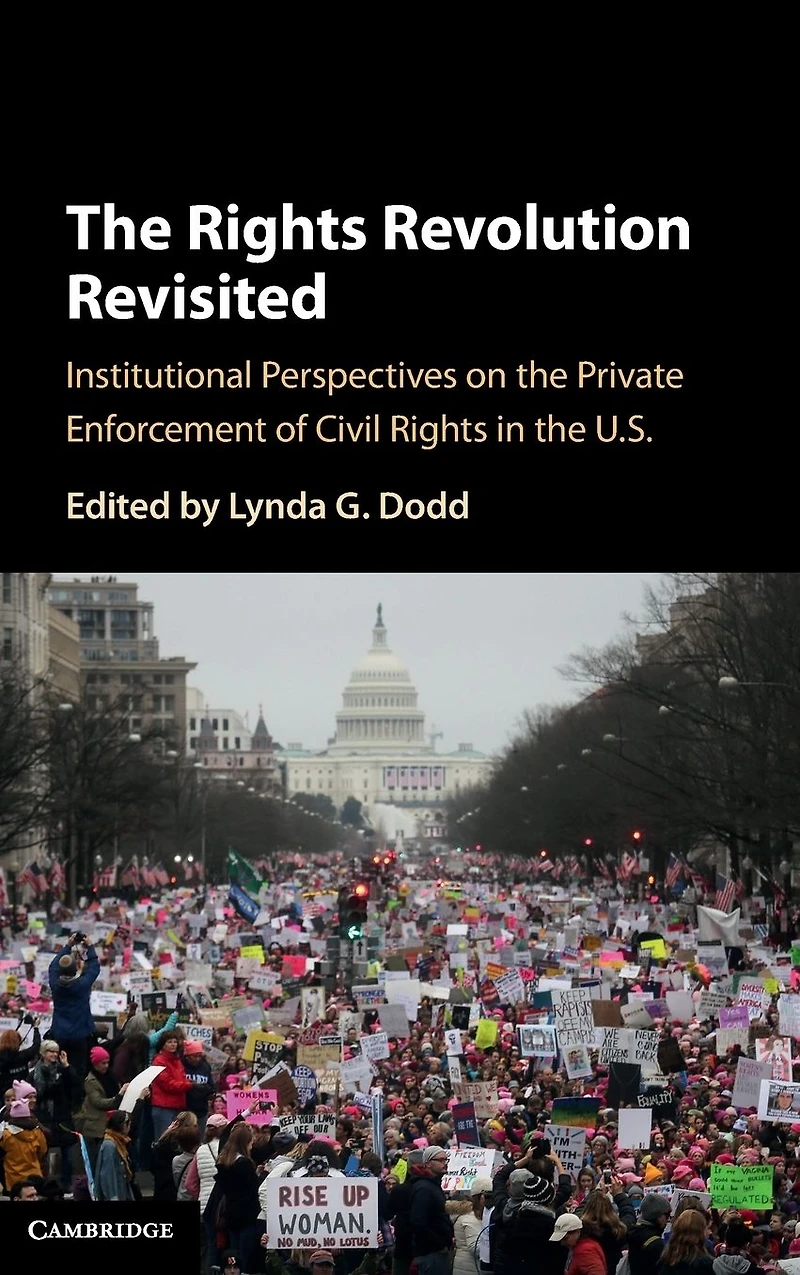 the Rights Revolution Revisited: Institutional Perspectives on Private Enforcement of Civil US