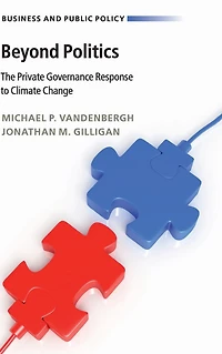 Beyond Politics: The Private Governance Response to Climate Change