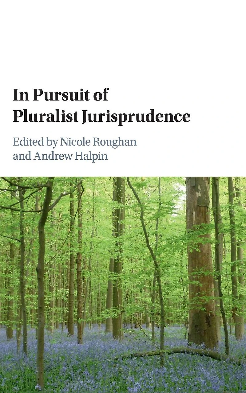 Pursuit of Pluralist Jurisprudence