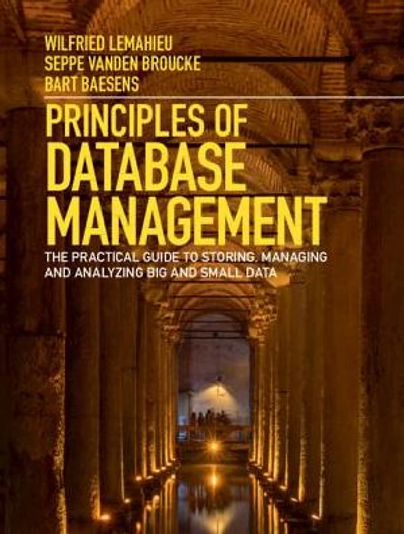 Principles of Database Management: The Practical Guide to Storing, Managing and Analyzing Big Small Data