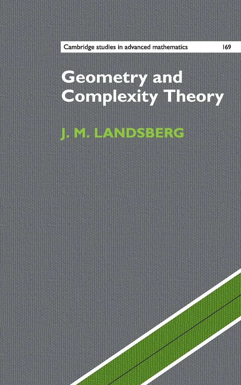Geometry and Complexity Theory