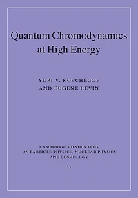 Quantum Chromodynamics at High Energy