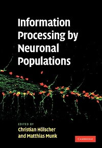 Information Processing by Neuronal Populations