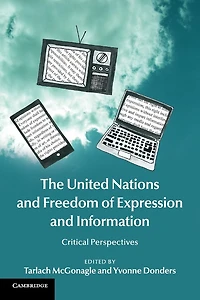 The United Nations and Freedom of Expression Information: Critical Perspectives