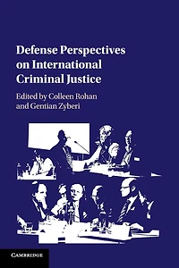 Defense Perspectives on International Criminal Justice