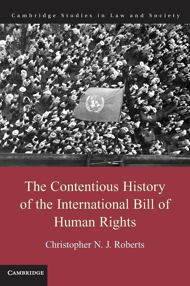 the Contentious History of International Bill Human Rights