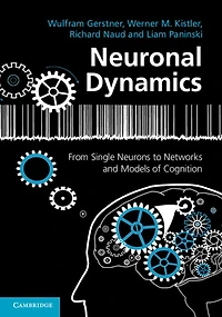 Neuronal Dynamics: From Single Neurons to Networks and Models of Cognition