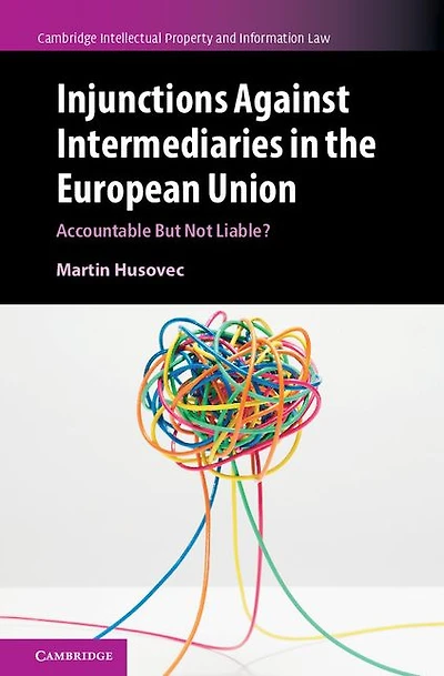 Injunctions against Intermediaries the European Union: Accountable but Not Liable?