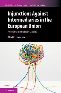 Injunctions against Intermediaries the European Union: Accountable but Not Liable?