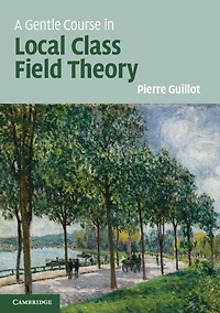 A Gentle Course Local Class Field Theory: Number Fields, Brauer Groups, Galois Cohomology