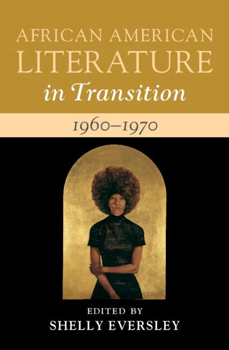 African American Literature Transition, 1960-1970: Volume 13: Black Art, Politics, and Aesthetics