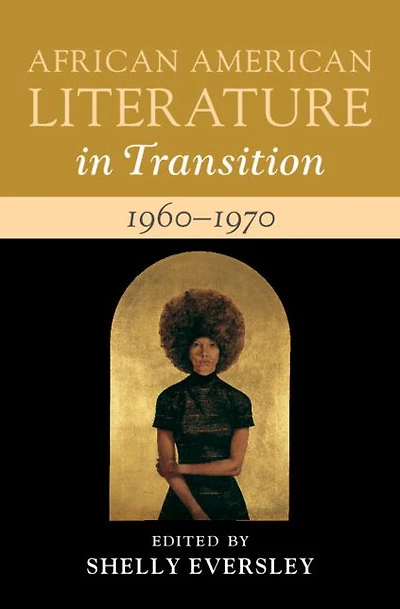 African American Literature Transition, 1960-1970: Volume 13: Black Art, Politics, and Aesthetics