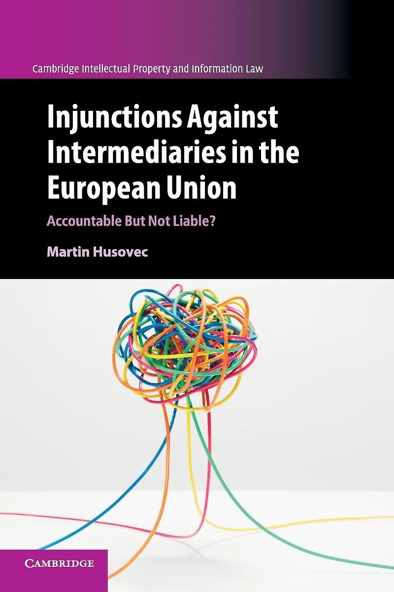 Injunctions against Intermediaries the European Union: Accountable but Not Liable?