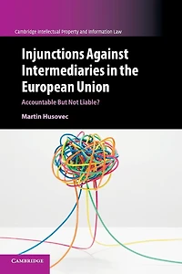 Injunctions against Intermediaries the European Union: Accountable but Not Liable?