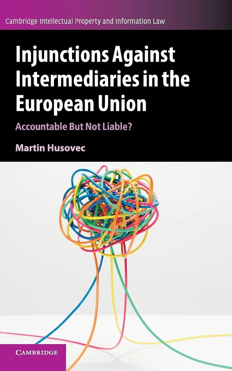Injunctions against Intermediaries the European Union: Accountable but Not Liable?