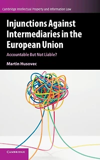Injunctions against Intermediaries the European Union: Accountable but Not Liable?