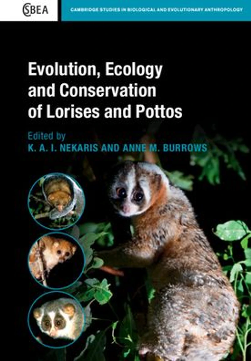 Evolution, Ecology and Conservation of Lorises Pottos