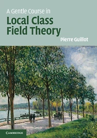 A Gentle Course Local Class Field Theory: Number Fields, Brauer Groups, Galois Cohomology