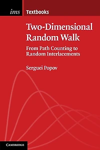 Two-Dimensional Random Walk: From Path Counting to Interlacements