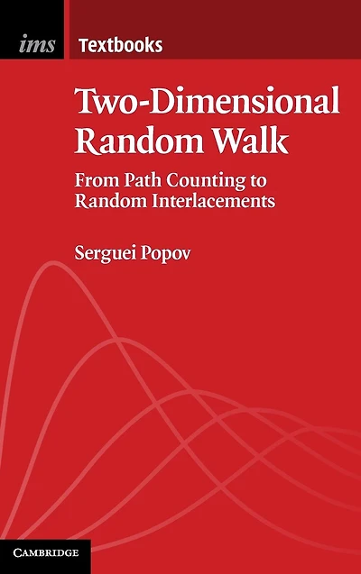 Two-Dimensional Random Walk: From Path Counting to Interlacements