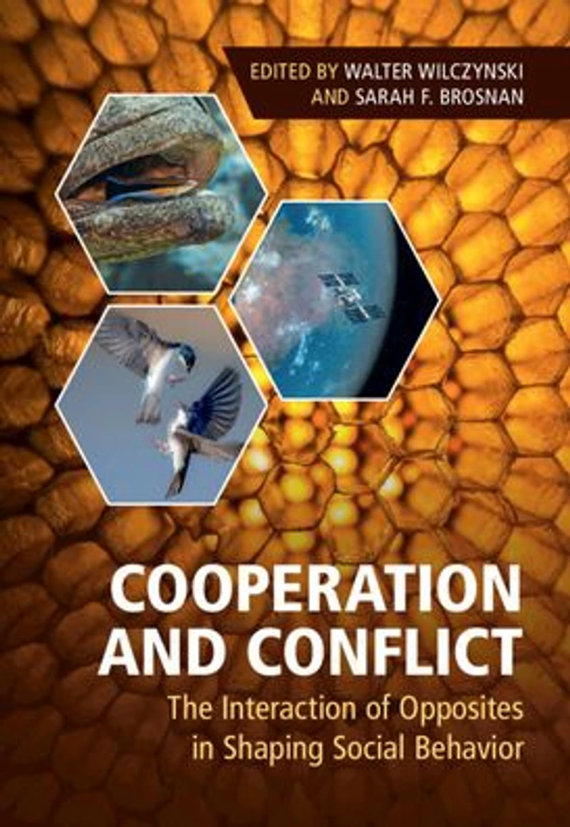 Cooperation and Conflict: The Interaction of Opposites Shaping Social Behavior