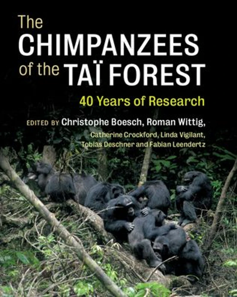 the Chimpanzees of Taï Forest: 40 Years Research