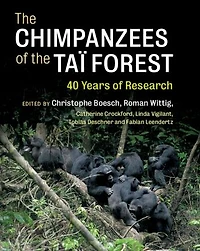 the Chimpanzees of Taï Forest: 40 Years Research