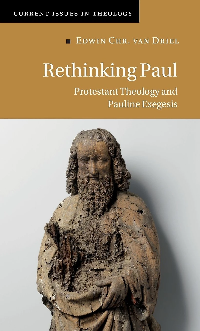 Rethinking Paul: Protestant Theology and Pauline Exegesis