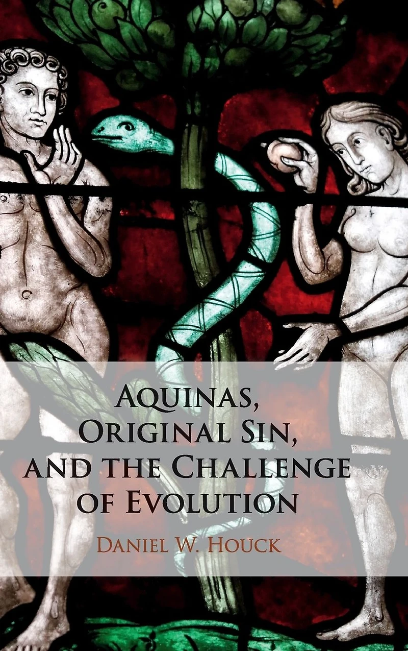 Aquinas, Original Sin, and the Challenge of Evolution
