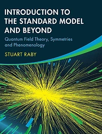 Introduction to the Standard Model and Beyond: Quantum Field Theory, Symmetries and Phenomenology