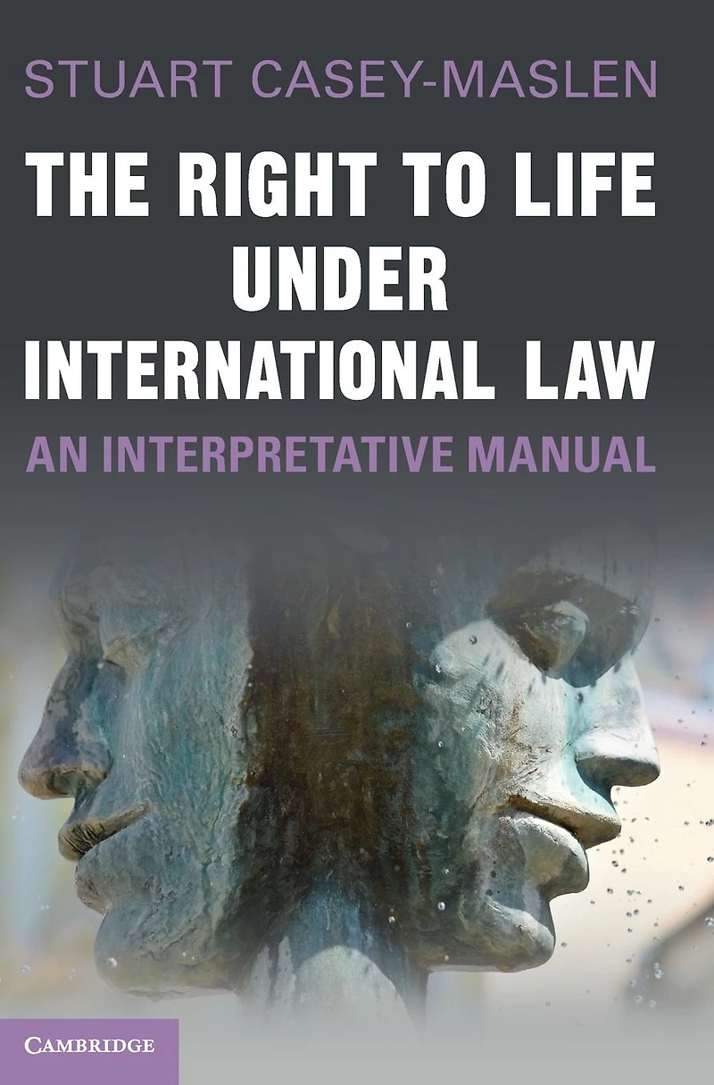 The Right to Life under International Law: An Interpretative Manual