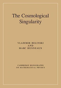 The Cosmological Singularity