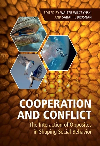 Cooperation and Conflict: The Interaction of Opposites Shaping Social Behavior