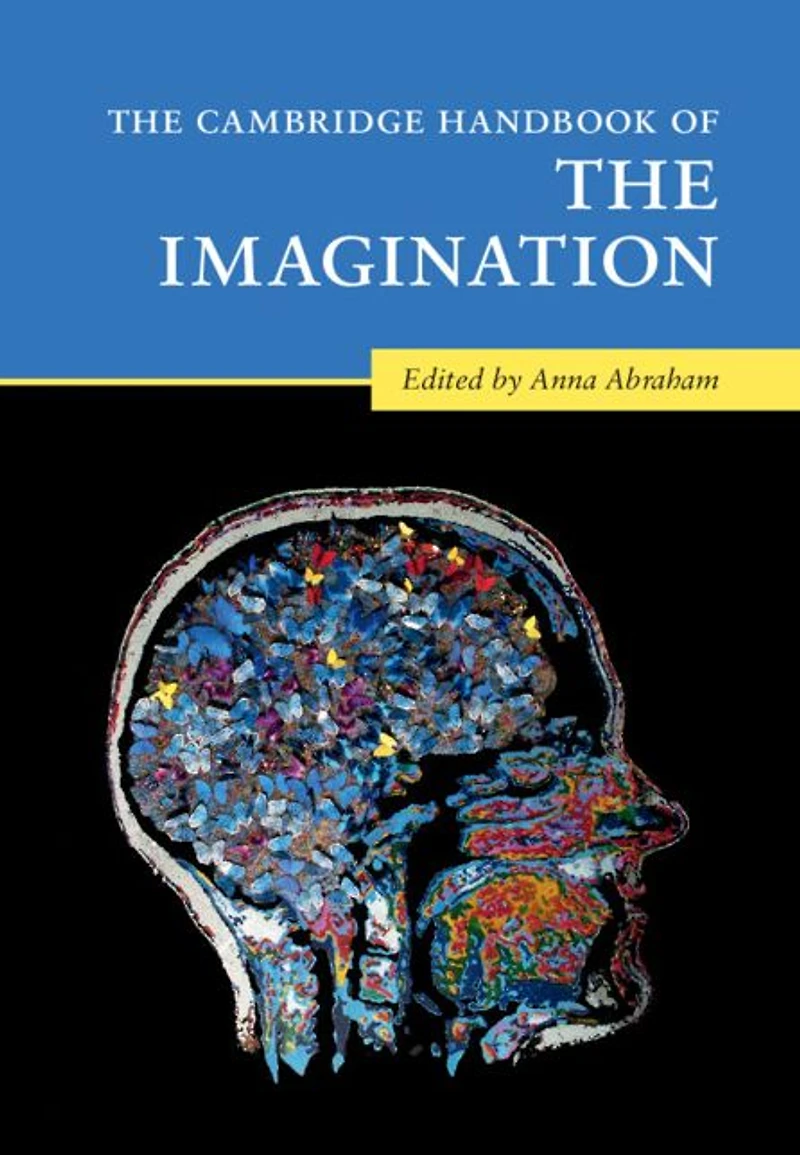 the Cambridge Handbook of Imagination