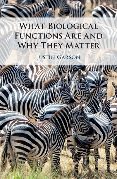 What Biological Functions Are and Why They Matter