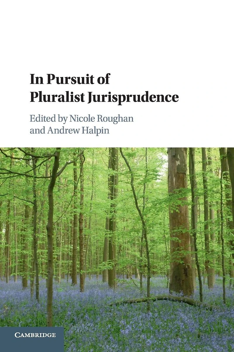 Pursuit of Pluralist Jurisprudence