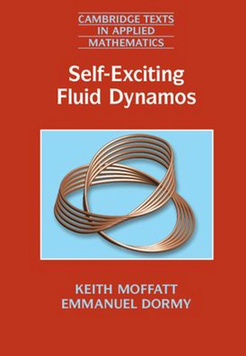 Self-Exciting Fluid Dynamos