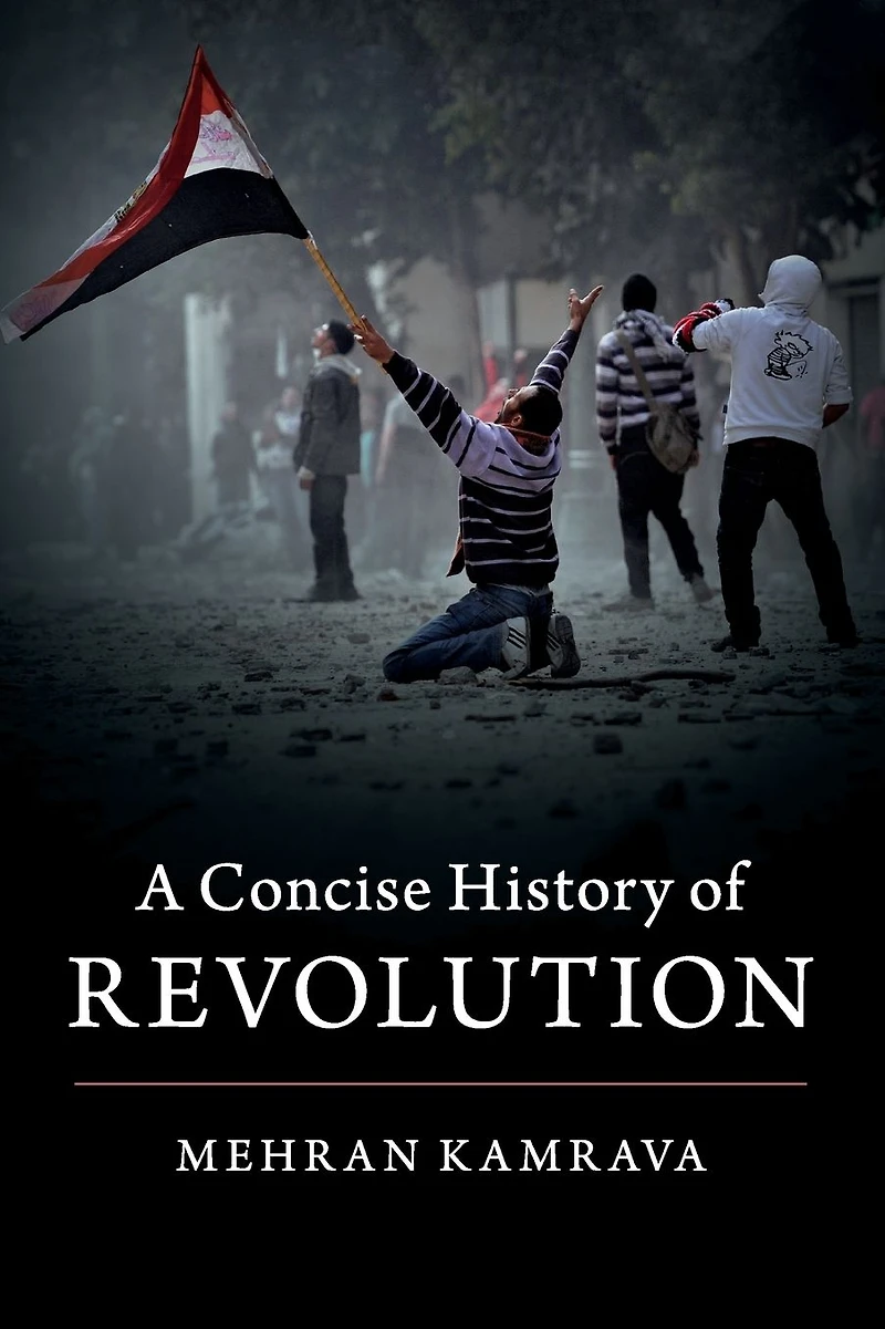 A Concise History of Revolution