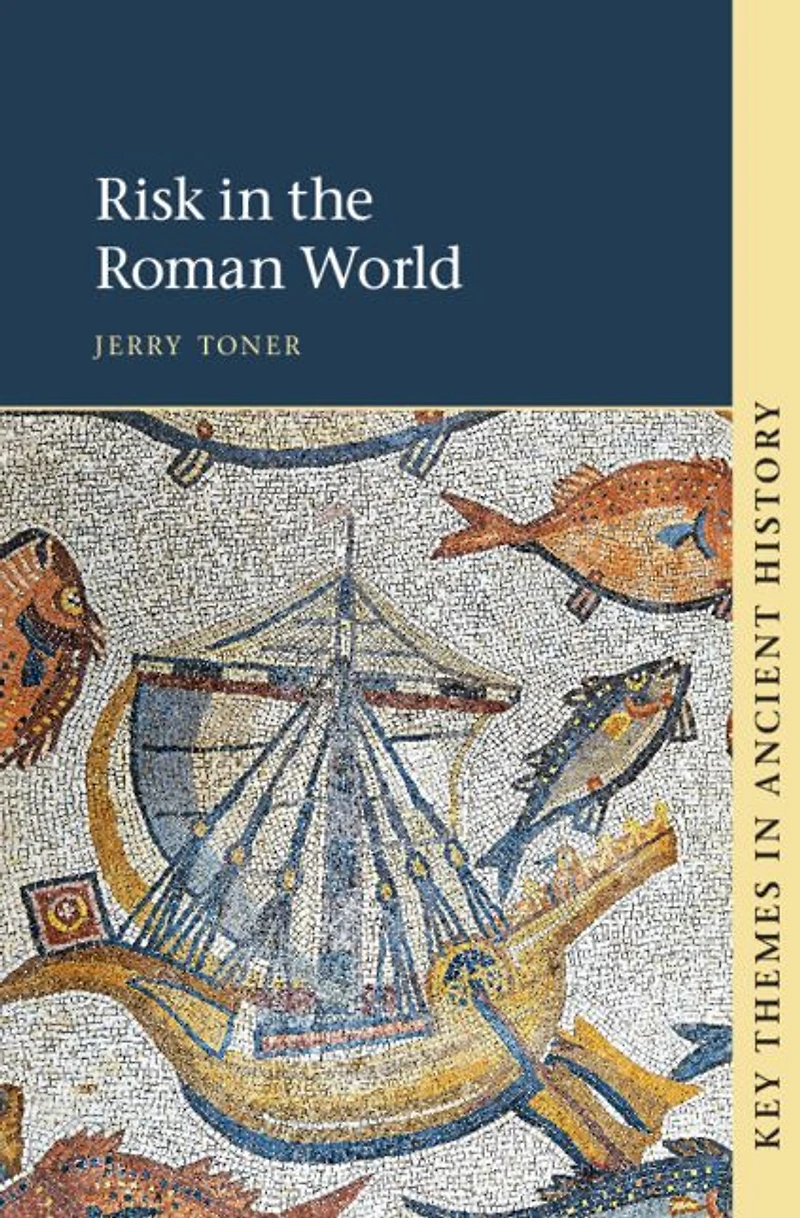 Risk the Roman World