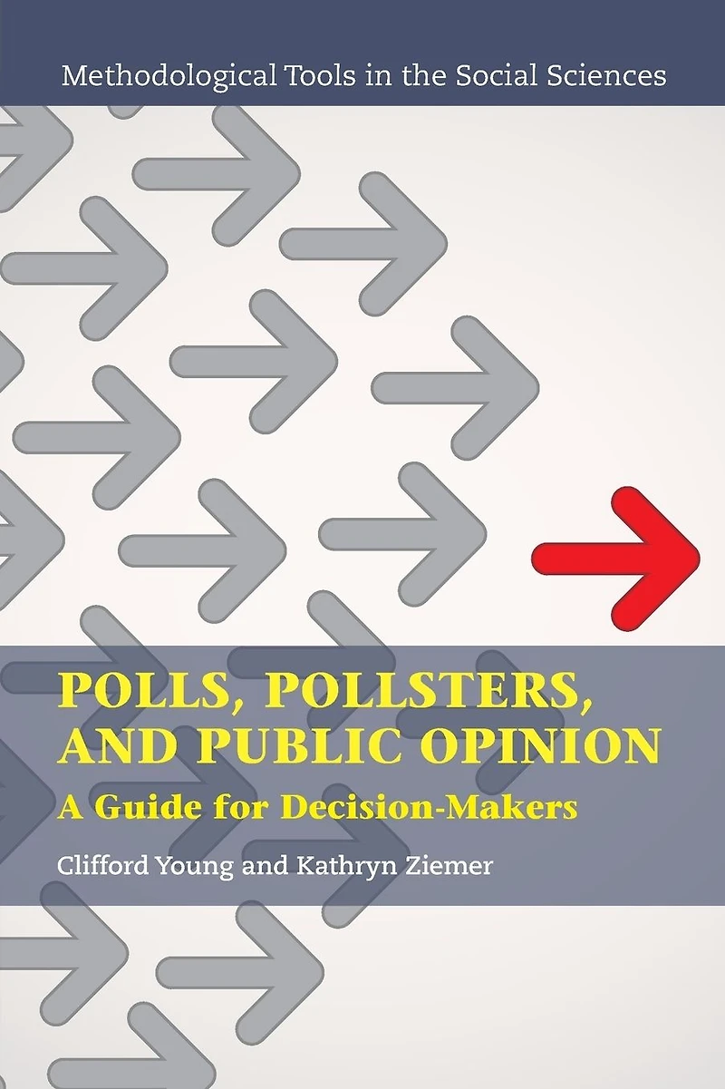 Polls, Pollsters, and Public Opinion: A Guide for Decision-Makers