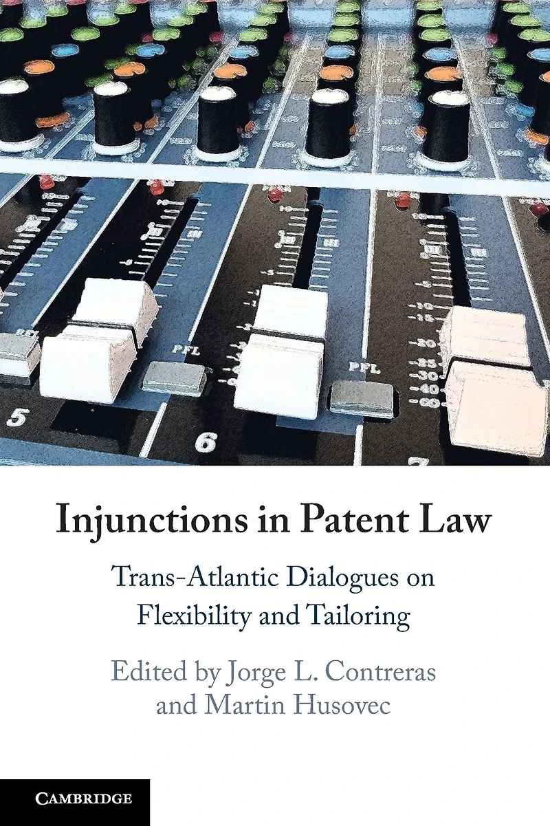 Injunctions Patent Law: Trans-Atlantic Dialogues on Flexibility and Tailoring