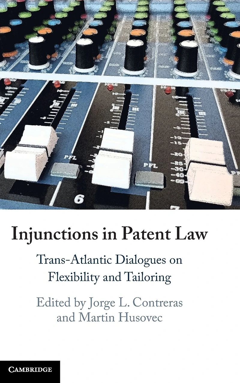 Injunctions Patent Law: Trans-Atlantic Dialogues on Flexibility and Tailoring